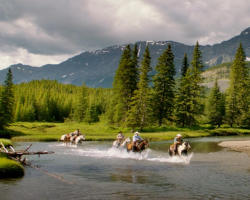 Teaserbild Reiten