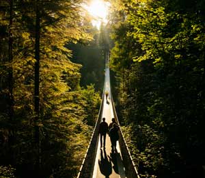 Capilano Suspension Bridge and Park