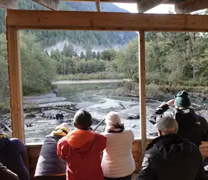 Grizzly Tour - Bute Inlet