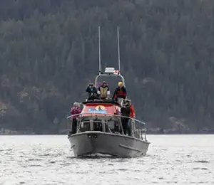 Whale & Wildlife Tour
