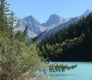 Wildernes & Wildlife Walk