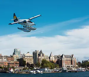 Mit dem Wasserflugzeug zu den Walen und zurück mit dem Bus/ Fähre