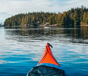 Kajaktour mit Orcas