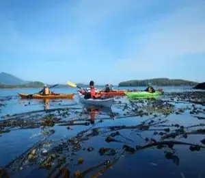 Kajaken und Wandern in Tofino