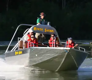 River Safari - mit dem Speedboat zu den Bären