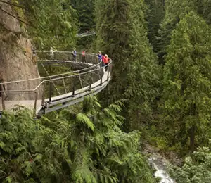 Vancouver & Capilano Tour