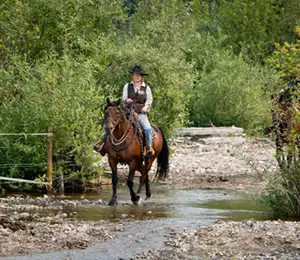 Reitausflug - Wells Gray Guest Ranch