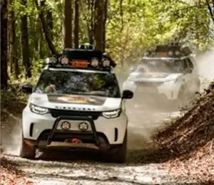 Bärenbeobachtung mit dem Land Rover
