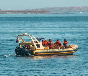 Prince of Whales - Whalewatching