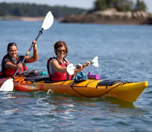 Bay of Fundy Isles Sea Kayak Tour