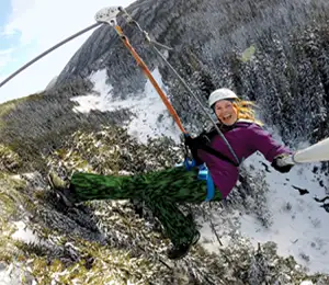 Zipline - Bear Tour