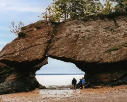 Teaserbild New Brunswick