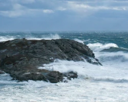 Teaserbild Nova Scotia